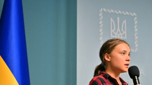 Greta Thunberg prangert "&Ouml;kozid" in Ukraine als "Form der Kriegsf&uuml;hrung" an