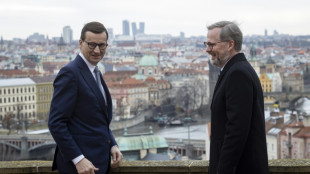 Les Premiers ministres polonais, tch&egrave;que et slov&egrave;ne se rendent &agrave; Kiev