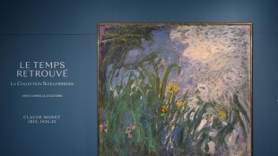 "Iris" de Monet devient l'oeuvre d'art la plus ch&egrave;re vendue en France