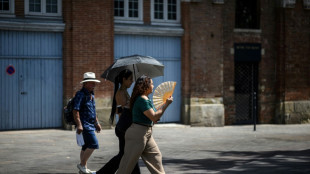 Canicule: le Sud-Ouest et le Centre-Est en vigilance maximale