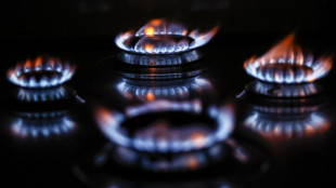 Arera, a febbraio -2,8% il prezzo del gas per i vulnerabili