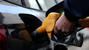 Umfrage: Knapp H&auml;lfte der Deutschen l&auml;sst wegen Iran-Krieg h&auml;ufiger das Auto stehen