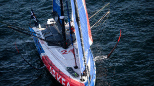 Vend&eacute;e Globe: Richomme toujours en t&ecirc;te devant Dalin