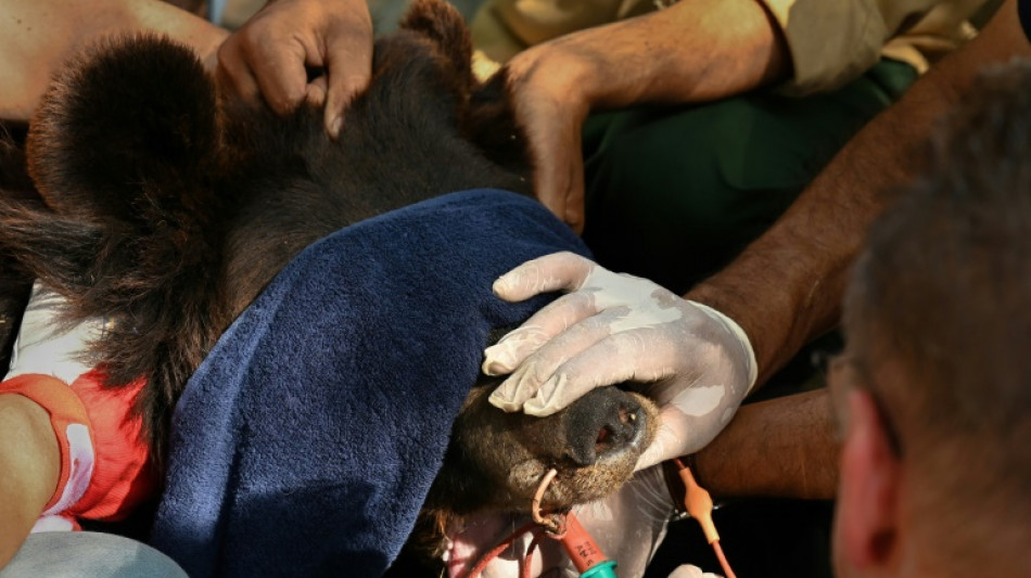 Un viejo zoo de Pakist&aacute;n se transforma en un centro para salvar a animales maltratados