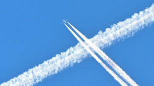 EU-Kommission f&uuml;hrt Kennzeichnung f&uuml;r CO2-Aussto&szlig; von Fl&uuml;gen ein