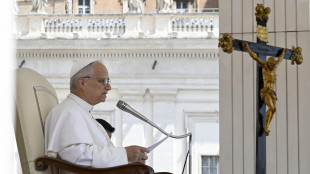 Il Papa chiede pace, 'rispettate il diritto internazionale'