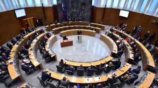 Slovenia, annullati referendum su spese militari e Nato