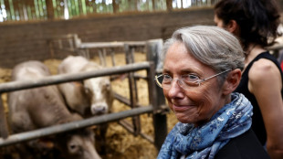 Pour sa premi&egrave;re campagne, Borne s'exerce aux figures impos&eacute;es dans le Calvados