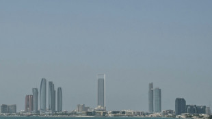 Ukraine und Russland beginnen zweiten Verhandlungstag in den Vereinigten Arabischen Emiraten