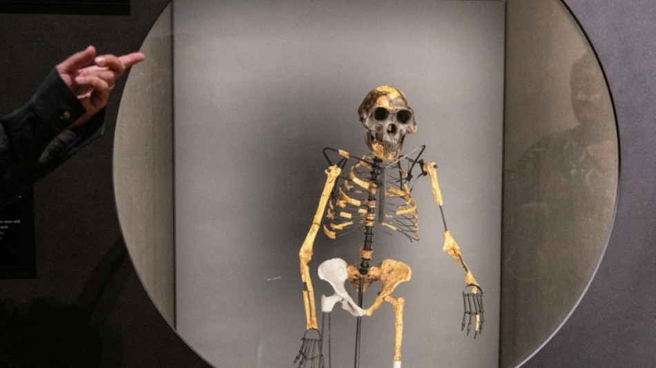 Un pie fosilizado hallado en Etiop&iacute;a arroja luz sobre un contempor&aacute;neo de Lucy