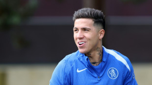 Fernandez 'completely committed' to Chelsea insists Rosenior