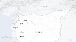 Syrie: accrochages entre forces gouvernementales et jihadistes français menés par Oumar Diaby