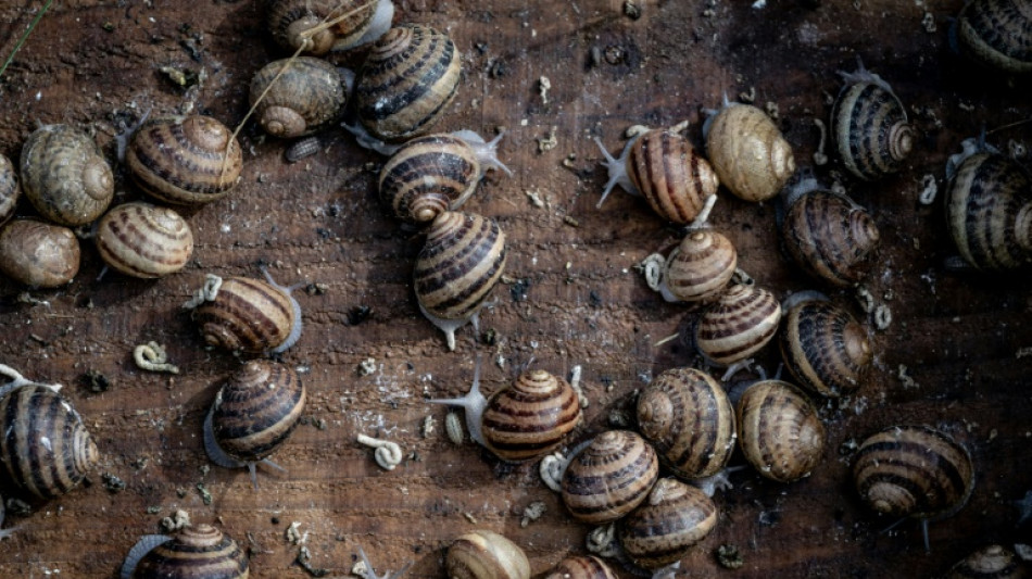 Dr&ocirc;me: la beaut&eacute; de Mona Lisa et les escargots bio