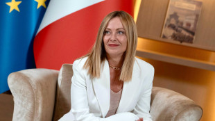 Meloni, giornata importante, su Ucrania spiragli di dialogo