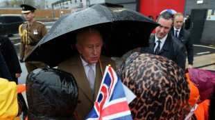 Le roi Charles III f&ecirc;te ses 77 ans, d&eacute;termin&eacute; &agrave; travailler malgr&eacute; son cancer