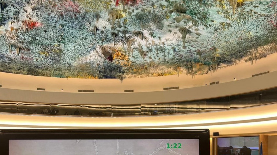 Onu: Italia, fermo sostegno a Kiev per pace fondata sul diritto