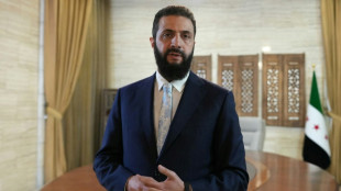 Besuch von al-Scharaa: CDU betont deutsches Interesse - Linke und Gr&uuml;ne warnen