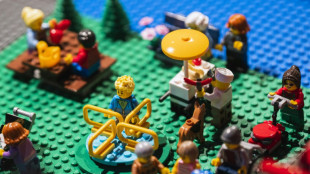 Nouveaux r&eacute;sultats records pour Lego en 2022
