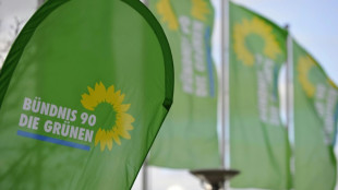 Zukunftskongress soll Gr&uuml;ne nach R&uuml;ckschl&auml;gen wieder in Schwung bringen