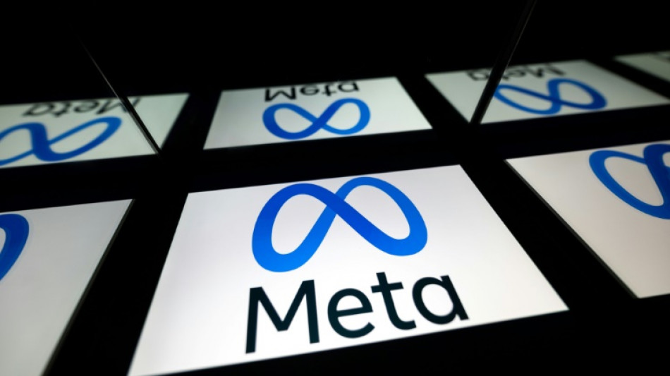 Meta promet de l'efficacit&eacute; en 2023, apr&egrave;s une baisse de revenus historique