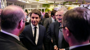 Apr&egrave;s Macron, Attal au Salon de l'Agriculture dans le calme, sur fond de campagne contre le RN