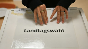 Freie Wähler und BSW küren Spitzenkandidaten für Landtagswahl in Rheinland-Pfalz