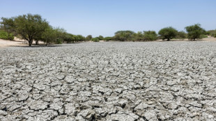 Brot f&uuml;r die Welt: Insbesondere arme Konfliktstaaten bekommen zu wenig Klimaanpassungshilfen