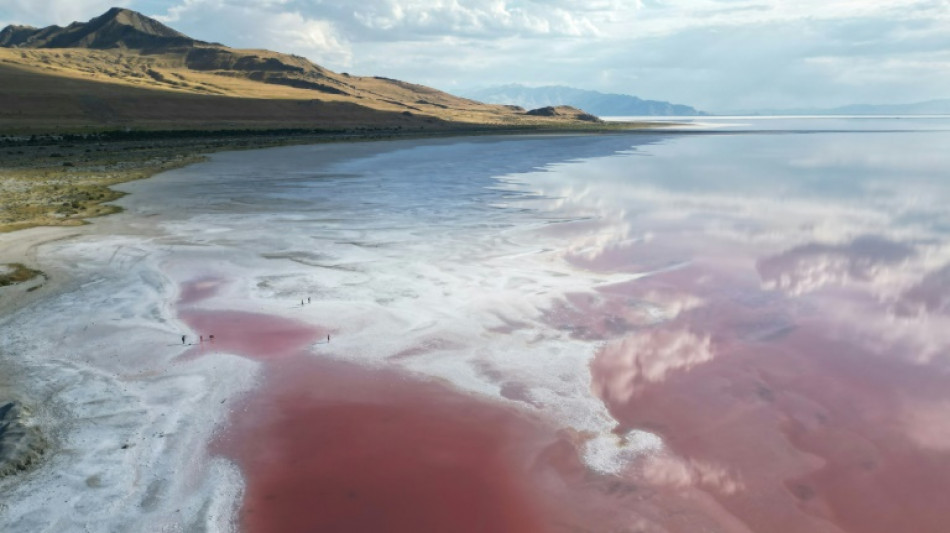 Piden no sumergir los pavos en lago salado de EEUU para Acci&oacute;n de Gracias