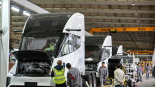 Empresas chinas encaran el desafío de los camiones eléctricos