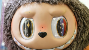 Labubu creators hope for monster film hit in Sony co-production