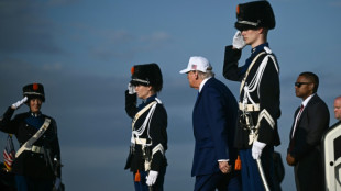 Suspendue à Trump, l'Otan lui déroule le tapis rouge