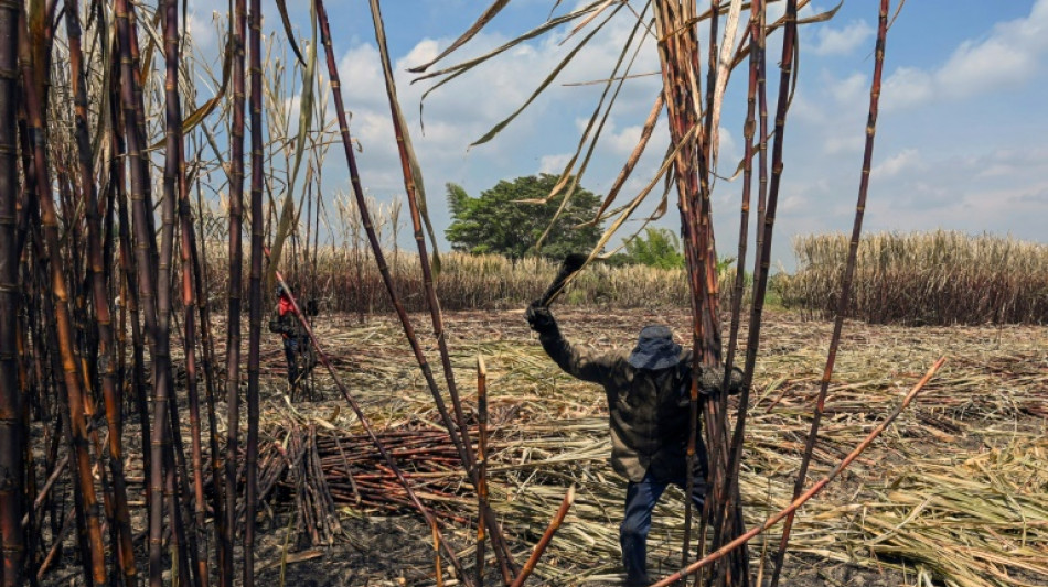 Indígenas y afros atizan su disputa por la tierra en Colombia