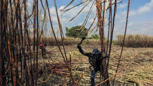 Indígenas y afros atizan su disputa por la tierra en Colombia
