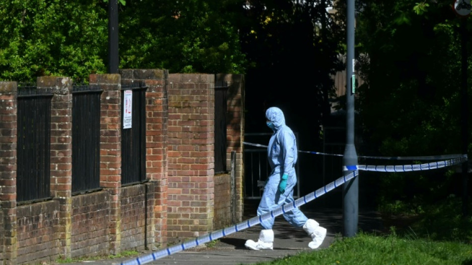 UK PM vows to find arsonists of London Jewish sites