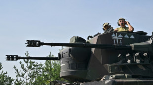 Le Gu&eacute;pard, tueur de drones qui veille sur le ciel ukrainien