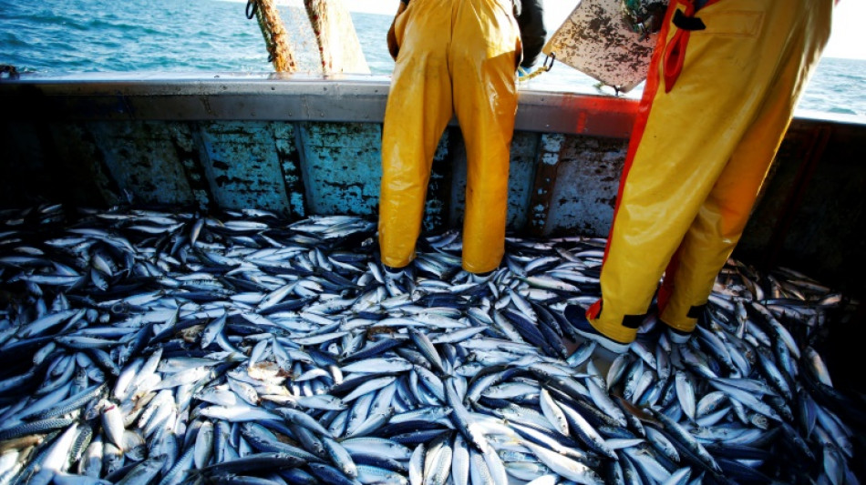 P&ecirc;cher "moins et mieux": l'appel de scientifiques pour une p&ecirc;che vraiment durable