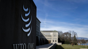 WTO hikes 2025 trade growth outlook but tariffs to bite in 2026