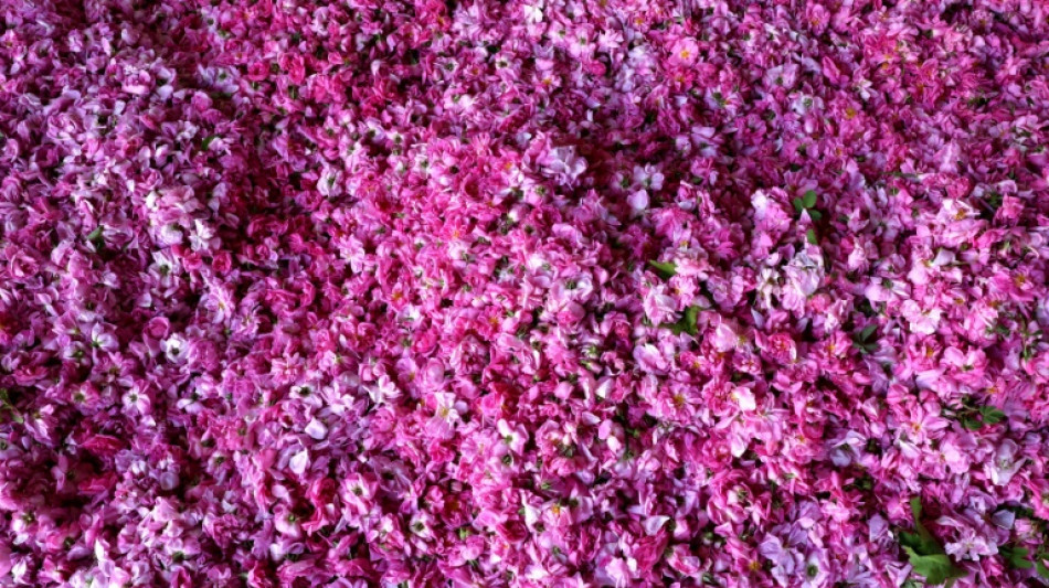 Au Liban, le "village des roses" perp&eacute;tue la tradition