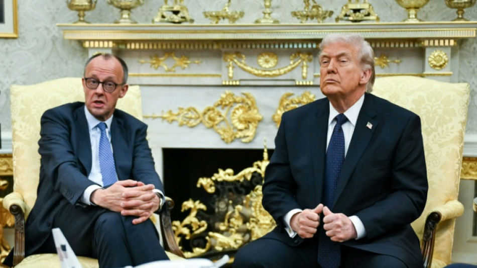 Merz seeks early end to Iran war in Trump meeting