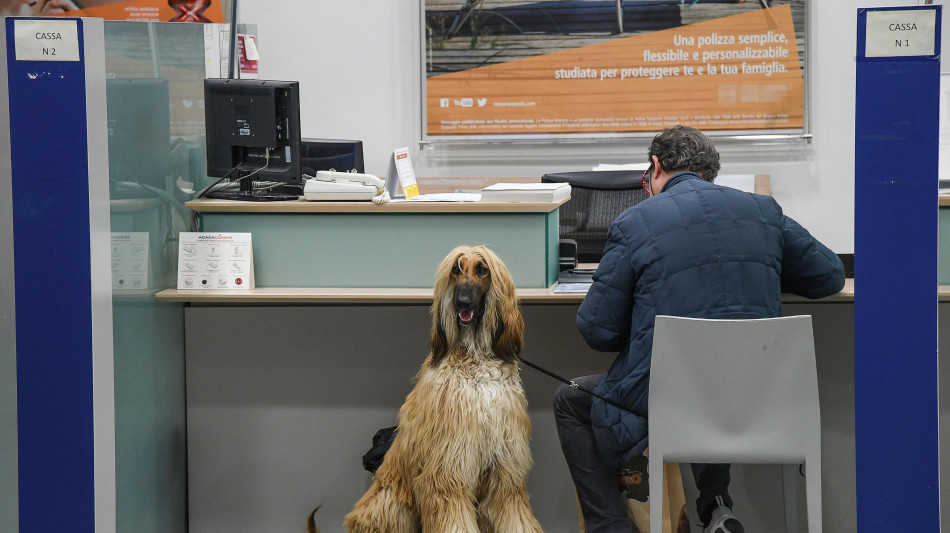 Abi, le operazioni bancarie sono sempre pi&ugrave; digitali