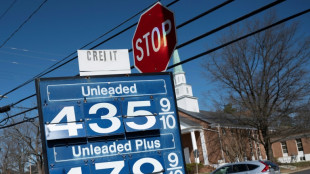 Flamb&eacute;e du brut: Washington va puiser comme jamais auparavant dans ses r&eacute;serves strat&eacute;giques
