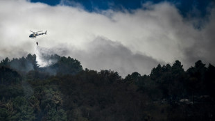 Huge Portugal fire 'under control' for now