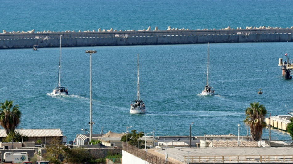 Expulsion d'Isra&euml;l de premiers militants de la flottille pour Gaza

