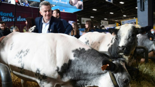 Pr&eacute;sidentielle: les candidats au chevet de l'agriculture
