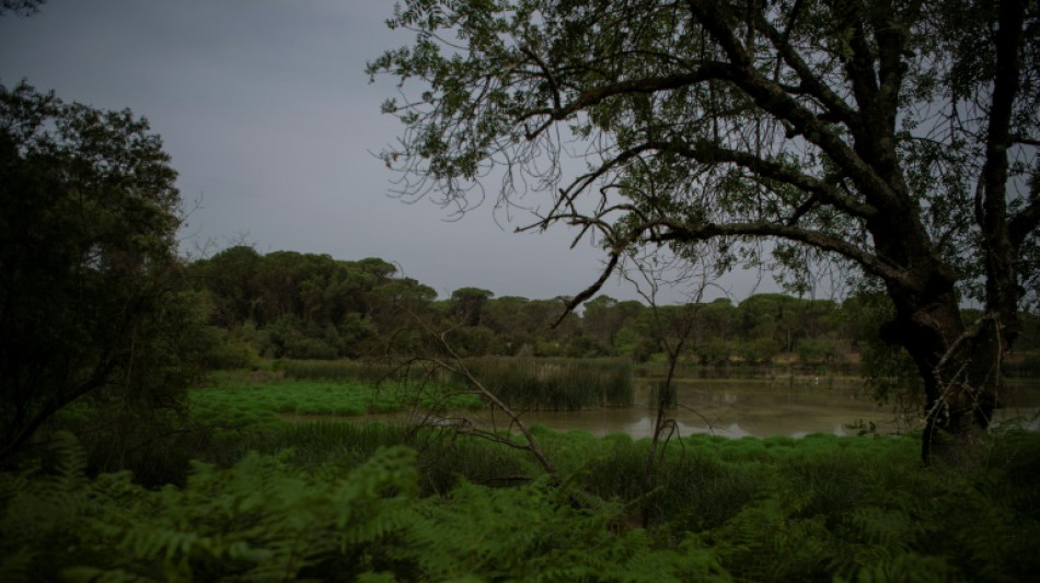 C&aacute;rcel por extraer ilegalmente agua de un amenazado parque natural espa&ntilde;ol