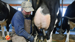 Milchbauern warnen vor Preisverfall und Milliardenverlusten