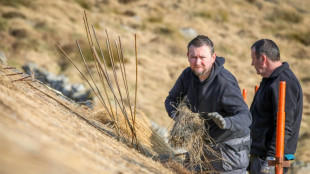 Una escuela en Irlanda para preservar la tradición de los techos de paja