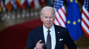 Ukraine: mesures occidentales contre la d&eacute;pendance au gaz russe, Biden attendu en Pologne