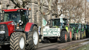 Parlamento Europeu adota salvaguardas para agricultores em acordo com Mercosul