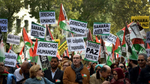 Argelia suspende tratado de cooperación con España por cuestión del Sáhara